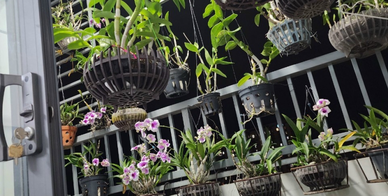 Công trình nhà chị Chi quận Bình Chánh chuẩn bị bàn giao